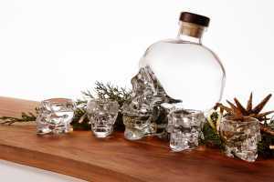 Crystal Head Vodka gift set