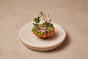 Pea tartlet with fragrant herbs