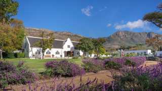 Steenberg Vineyards and Winery, South Africa
